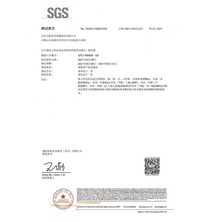 SGS2021